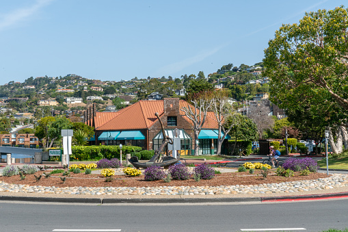 Luxury hillside Homes in Tiburon on a sunny day.