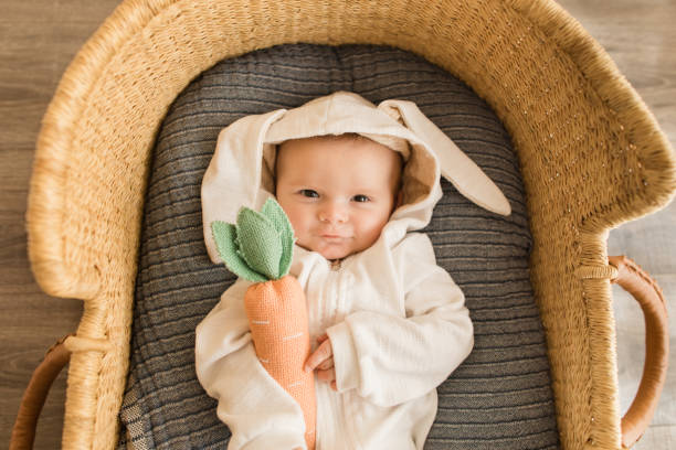 un bebé de 16 semanas de edad que se acurruca conejito con un atuendo de conejito blanco mientras duerme en una acogedora canasta de moisés de pastos marinos con su zanahoria - baby carrot fotografías e imágenes de stock