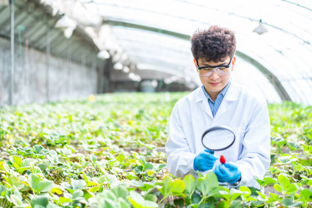 istock Asian agricultural technician is working in a greenhouse 1391340477