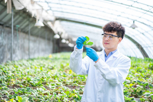 istock Asian agricultural technician is working in a greenhouse 1391340565