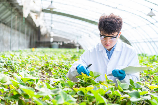 istock Asian agricultural technician is working in a greenhouse 1391340615