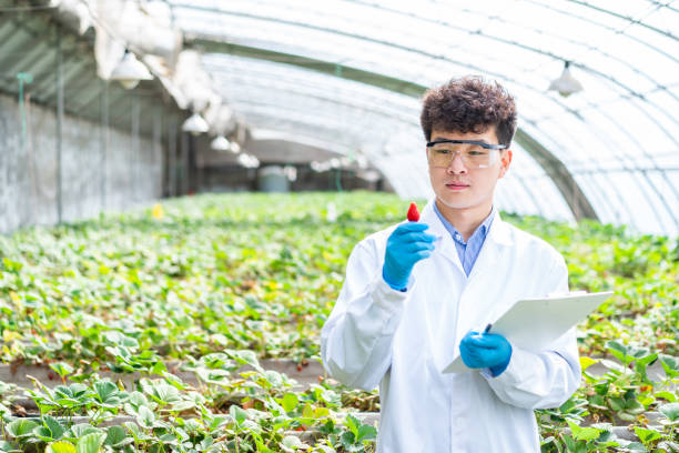 istock Asian agricultural technician is working in a greenhouse 1391340732