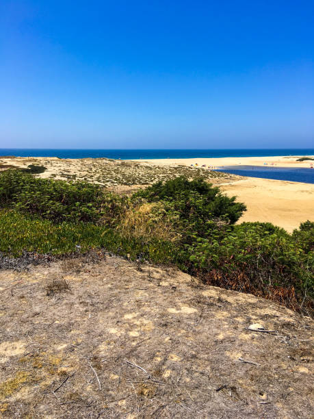 istock beach - sand - sea - ocean 1391350182
