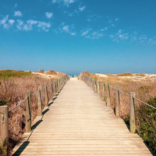 istock sky - water - ocean - travel - sand 1391350191