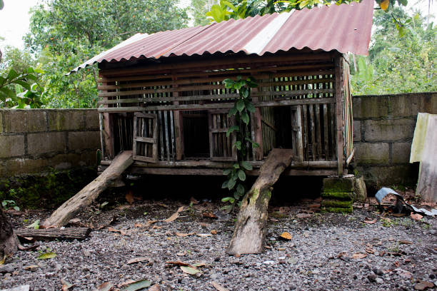 istock wooden chicken coop with tin roof 1391352691