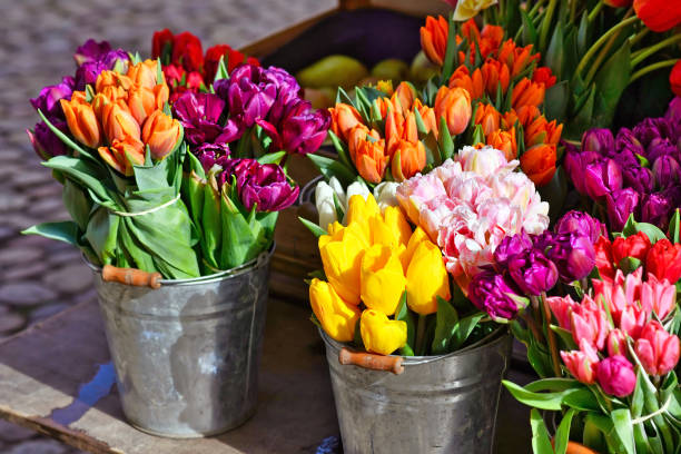 bunte frühlingstulpenblüten in körben - tulip bouquet stock-fotos und bilder
