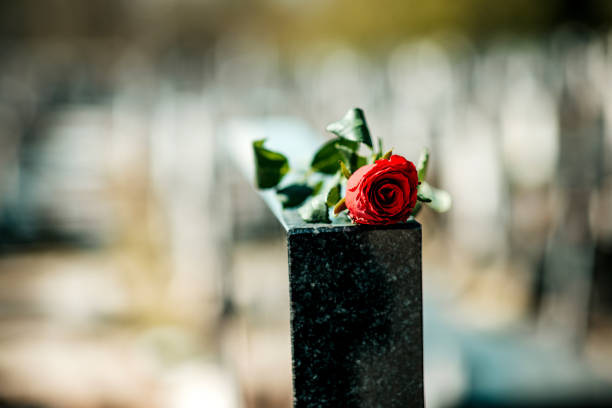 istock Headstone In Cemetery With Red Rose Flower. 1391356131
