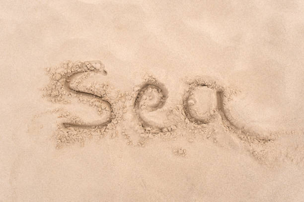istock Inscription ''Sea'' on sea or ocean shore. 1391362988