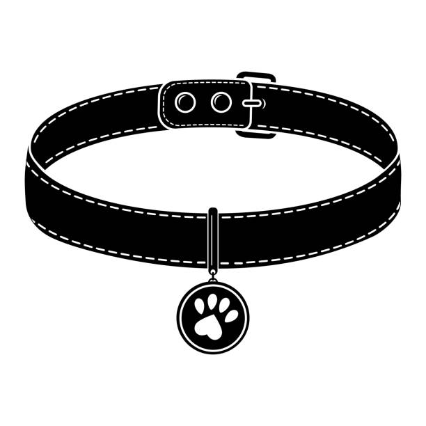 illustrazioni stock, clip art, cartoni animati e icone di tendenza di un collare per cani e gatti con un ciondolo. illustrazione vettoriale isolata di un'icona nera - remote dog control animal