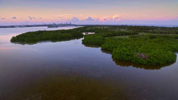 istock View of Key Biscayne island 1391369405