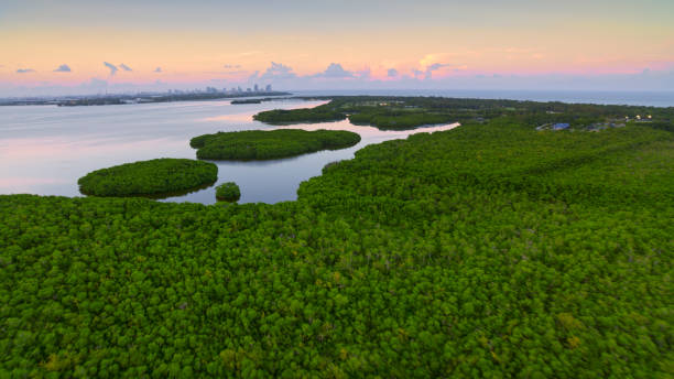 istock View of Key Biscayne island 1391369441