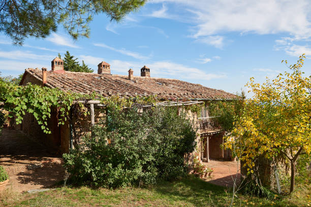 istock Plants and trees growing in front of old detached house 1391369519