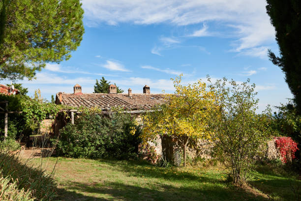 istock Trees and plants growing on land with old house in background 1391369552