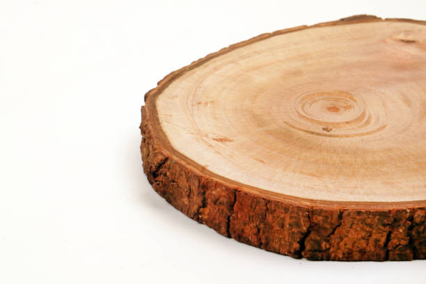 istock oval wooden cutting board textured on a white background 1391374108