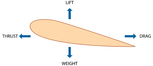 Lift of an aircraft illustration
