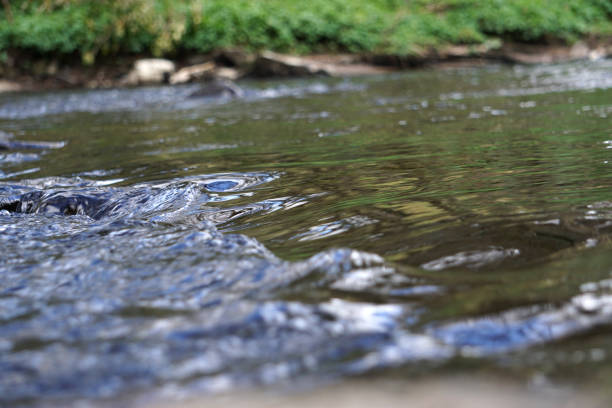 Flowing river Goyt in Marple