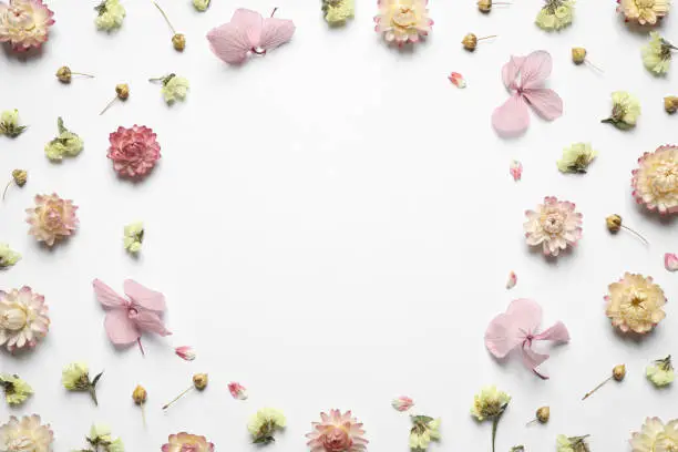 Photo of Frame of different fresh and dry flowers on white background, flat lay. Space for text