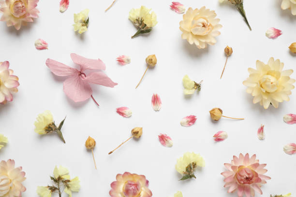 istock Beautiful fresh and dry flowers on white background, flat lay 1391392116