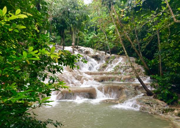 Waterfall - Dunn‘s River Falls A beautiful waterfall, called Dunn‘s River Falls, located in Ocho Rios (Jamaica) dunns river falls stock pictures, royalty-free photos & images