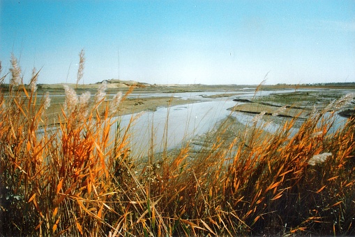 The Qarqan River in Qiemo County, Hotan region in southeastern Xinjiang, flows from snow-capped mountains to the desert.Film photo in 1996's Xinjiang