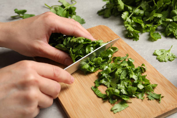 istock Woman cutting fresh green cilantro at light grey table, closeup 1391392287