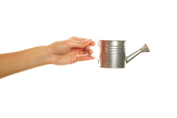 istock Woman hand with a steel watering can 1391392321