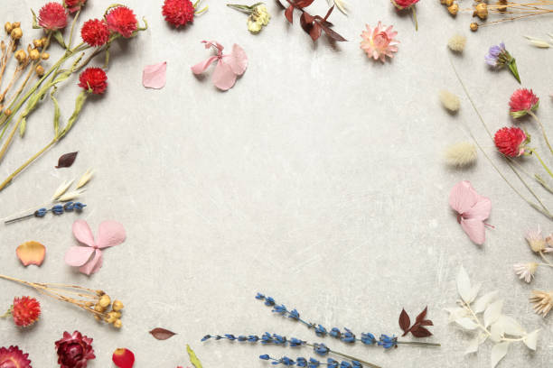 istock Frame of different fresh and dry flowers on light grey background, flat lay. Space for text 1391392343