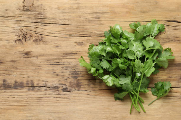 istock Fresh green cilantro on wooden table, flat lay. Space for text 1391393648