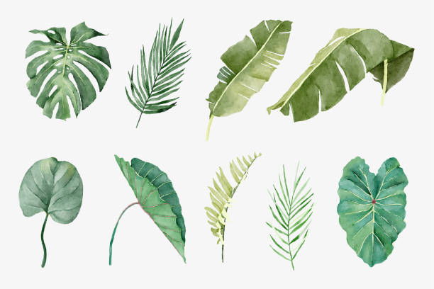 istock Set of Tropical Plants in Watercolor Style 1391394084