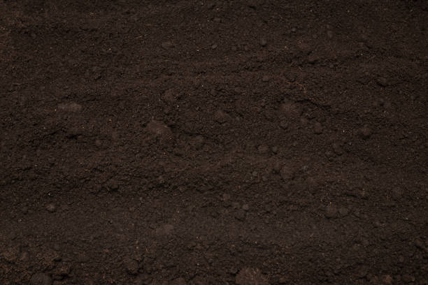 istock Black land for plant background. Top view. 1391398902