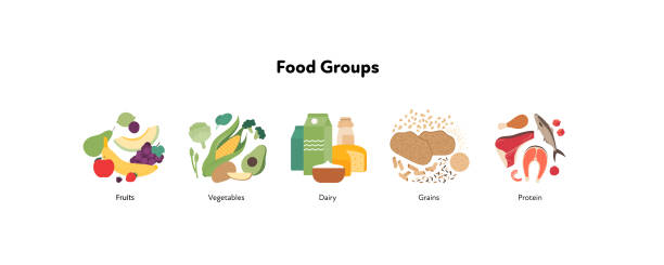 ilustrações, clipart, desenhos animados e ícones de conjunto de ilustrações de grupos alimentares. design plano vetorial de várias frutas, legumes, frutas, laticínios, grãos e símbolos de grupos de produtos proteicos isolados em fundo branco. - quinta de saúde