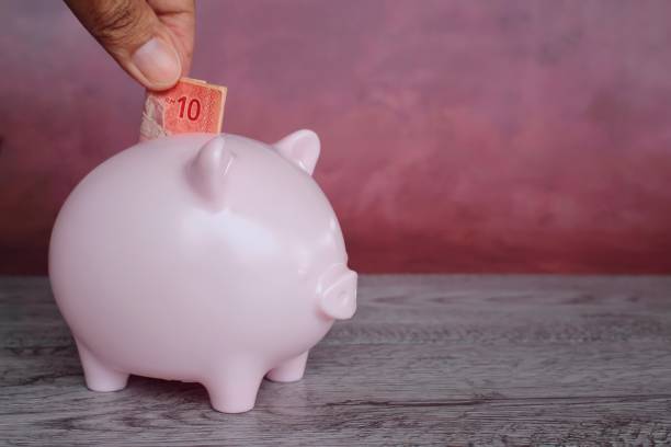istock Hand put money inside piggy bank with copy space. 1391401636