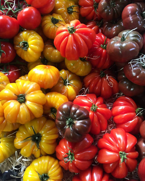 istock Heirloom heritage tomatoes background 1391401746