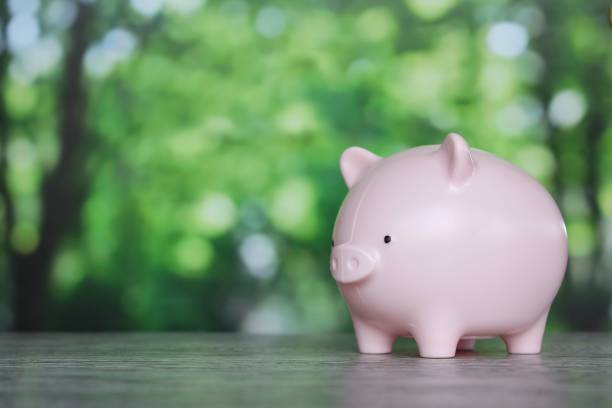 istock Piggy bank on table with bokeh nature background 1391401771