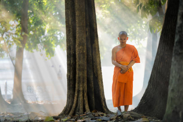 istock Buddhist monk practice walking meditation under tree in Buddhist temple 1391403562