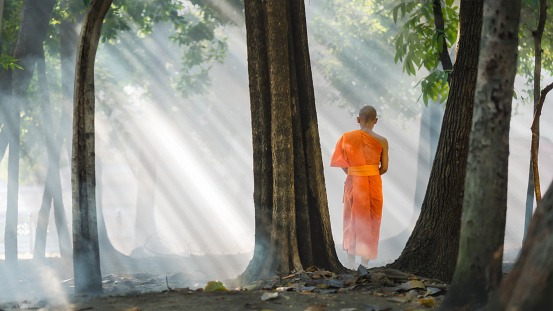 Thai or Myanmar or Cambodia Buddhist monk practice walking meditation under tree in garden of buddhist monastery or temple or Thai wat