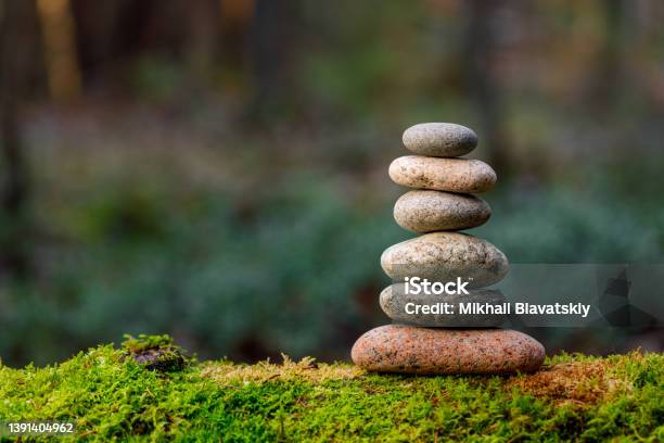 Pyramid Stones Balance On Old Mossy Fallen Tree Stock Photo - Download Image Now - Zen-like, Balance, Nature