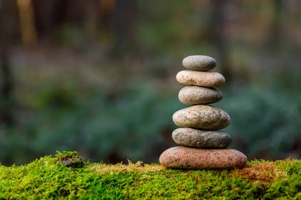 Pyramid stones balance on old mossy fallen tree. Stone pyramid in focus. Forest background blurred