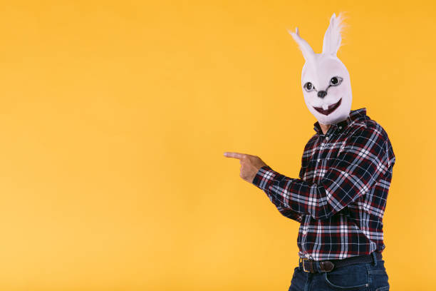 disguised person in rabbit mask wearing checkered shirt and jeans, pointing fingers, on yellow background. carnival, party, easter and celebration concept. - mask religious celebration horizontal easter imagens e fotografias de stock