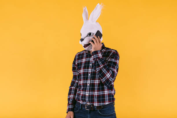 person dressed in a rabbit mask with a checkered shirt and jeans, talking on his smart phone, on a yellow background. carnival, party, easter and celebration concept. - mask religious celebration horizontal easter imagens e fotografias de stock