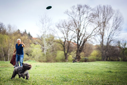 Man and dog playing with plastic disc