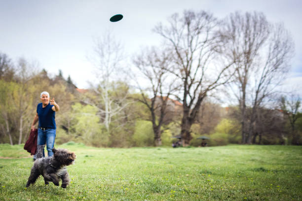 Man and dog playing with plastic disc Man and dog playing with plastic disc dog retrieving running playing stock pictures, royalty-free photos & images