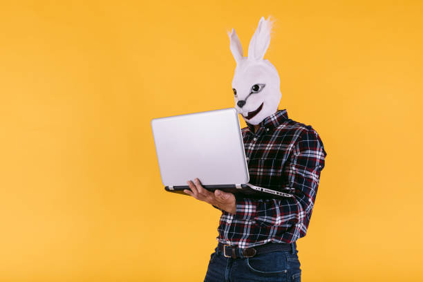 disguised person in rabbit mask with checkered shirt and jeans, holding a laptop working, on yellow background. carnival, party, easter and celebration concept. - mask religious celebration horizontal easter imagens e fotografias de stock