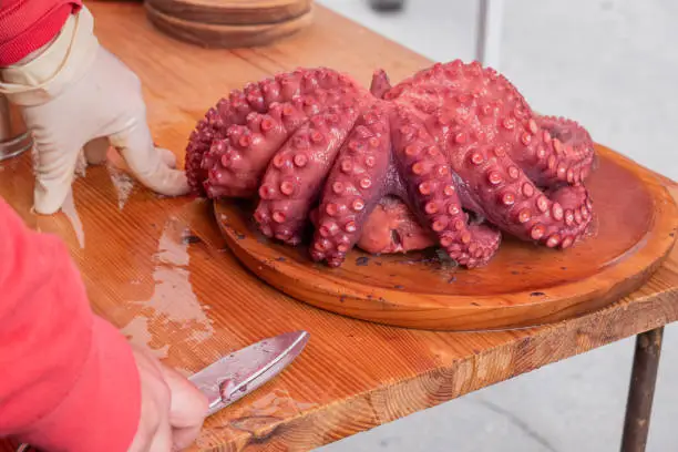 Photo of octopus tentacles cooked Pulpo a Feira style, tradition of galicia. Spain