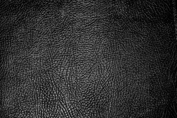 istock Black and white background and crocodile skin texture. 1391411762