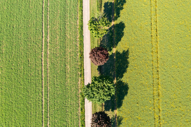 istock Spring landscape from above in the Taunus/Germany 1391413417