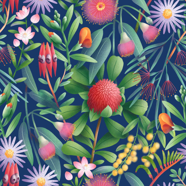 ilustrações de stock, clip art, desenhos animados e ícones de australian flora pattern - australian culture illustrations
