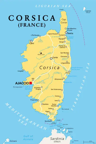 Vector illustration of Corsica, political map, French island, north of Sardinia, capital Ajaccio