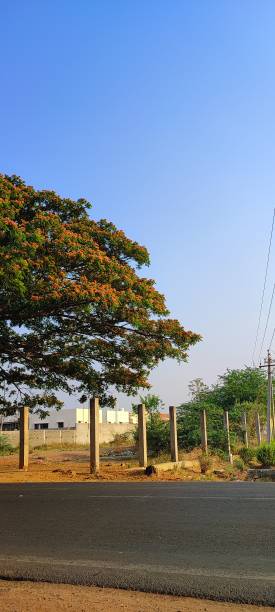 istock Natural green tree's and yellow colour flowers 1391424564