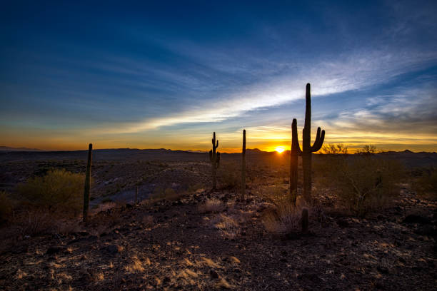 istock Sun on the Horizon in the Desert 1391424630